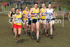 Senior women, 2020 British Athletics Inter Counties Cross Country Champs., Prestwold Hall, Loughborough. Photo: David T. Hewitson/Sports for All Pics